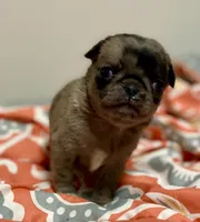 processed/2d387dec-7176-4894-8e35-c35576ae9be7/listing/7784099d-a7fd-404d-94c5-d676a4fdae13/c843a738-e212-4bb8-8dd2-c3c180ee9ab0