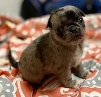 processed/2d387dec-7176-4894-8e35-c35576ae9be7/listing/7784099d-a7fd-404d-94c5-d676a4fdae13/f104e332-e250-4c5b-a06f-8b00fd366a6b