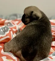 processed/2d387dec-7176-4894-8e35-c35576ae9be7/listing/d4d801a4-1bab-4556-828d-e07f797b7224/01fd259f-f0c4-48d0-900f-8307d0b455c0