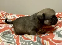 processed/2d387dec-7176-4894-8e35-c35576ae9be7/listing/d4d801a4-1bab-4556-828d-e07f797b7224/1382bf1a-3e89-4613-9556-55b99f0e8602