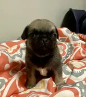 processed/2d387dec-7176-4894-8e35-c35576ae9be7/listing/d4d801a4-1bab-4556-828d-e07f797b7224/4faf0e09-2b4d-499e-aa58-1f65b10a174b