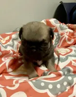 processed/2d387dec-7176-4894-8e35-c35576ae9be7/listing/d4d801a4-1bab-4556-828d-e07f797b7224/79c34248-737e-4be1-94b0-95ceae1e4e8f