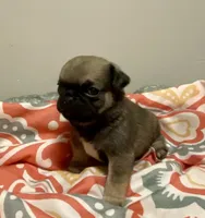 processed/2d387dec-7176-4894-8e35-c35576ae9be7/listing/d4d801a4-1bab-4556-828d-e07f797b7224/962ae942-a588-4591-b381-35c27f1461e2