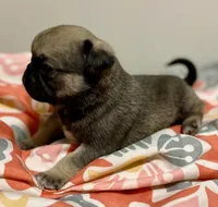 processed/2d387dec-7176-4894-8e35-c35576ae9be7/listing/d4d801a4-1bab-4556-828d-e07f797b7224/ce4875c5-d136-4cde-864e-071d0a0bc17a