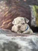 processed/2d3b8bd3-425c-417e-b6fe-f225bca78a04/listing/3096aa4c-52b5-4d44-9d4a-69db6f0d7e9c/596e0596-6c8a-4530-9293-d2f77156ed52