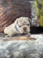 processed/2d3b8bd3-425c-417e-b6fe-f225bca78a04/listing/3096aa4c-52b5-4d44-9d4a-69db6f0d7e9c/8d762da7-90fe-4327-8008-10f845d155d9