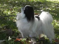 processed/2d42b022-4f90-4654-ad7e-a5a1457354b0/facility/4a4c5061-eb0d-4cf2-96b8-611679fc3d34