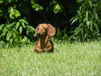 processed/2d42b022-4f90-4654-ad7e-a5a1457354b0/facility/915cf3fb-89db-46b7-bb96-05517978c90a