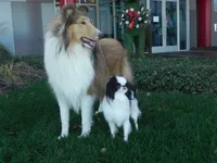 processed/2d42b022-4f90-4654-ad7e-a5a1457354b0/facility/ae9fb8ce-959b-42c1-b148-0e539386b592