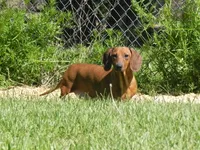 processed/2d42b022-4f90-4654-ad7e-a5a1457354b0/facility/d50c28ae-f01d-4544-a9b4-10c33eb02663