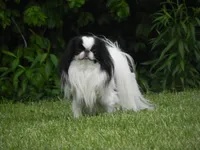 processed/2d42b022-4f90-4654-ad7e-a5a1457354b0/facility/dd3285c5-2913-447c-95d0-e7afa77e9899