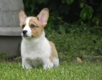 processed/2d42b022-4f90-4654-ad7e-a5a1457354b0/facility/dd710bcb-665b-4ba4-b70b-d37b4f5a8cf4