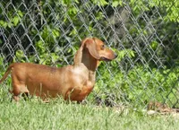 processed/2d42b022-4f90-4654-ad7e-a5a1457354b0/facility/dfbc2934-ed50-4636-a393-7917771813c2