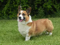 processed/2d42b022-4f90-4654-ad7e-a5a1457354b0/facility/f083d54e-441c-4505-818c-8765e7b088e6