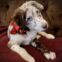 processed/2d59bd0f-89a3-47d0-a140-b262745f2f83/listing/90b7bd0c-fd5c-4134-93d7-607c0c393965/77659cc4-9fc7-46fb-9e7a-8615db761831