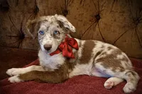 processed/2d59bd0f-89a3-47d0-a140-b262745f2f83/listing/90b7bd0c-fd5c-4134-93d7-607c0c393965/b7e5a6fa-f775-4223-bff8-4fecf7968f00