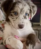 processed/2d59bd0f-89a3-47d0-a140-b262745f2f83/listing/90b7bd0c-fd5c-4134-93d7-607c0c393965/edb7d0a3-f9f8-40c6-bda5-39824ae43007