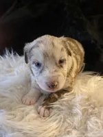 processed/2d59bd0f-89a3-47d0-a140-b262745f2f83/listing/90b7bd0c-fd5c-4134-93d7-607c0c393965/fb1c2cf6-4d06-4013-bfc8-1f0642a436a2