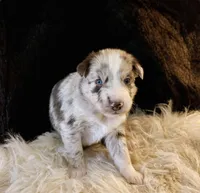 processed/2d59bd0f-89a3-47d0-a140-b262745f2f83/listing/fafadb56-896f-4d10-9b22-59d366667b8e/44b8cc52-c567-4ffd-afda-01bc095765bb