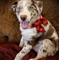 processed/2d59bd0f-89a3-47d0-a140-b262745f2f83/listing/fafadb56-896f-4d10-9b22-59d366667b8e/6864b2ee-7fec-40c3-8de4-df86ca5668f1