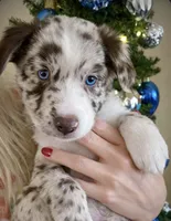 processed/2d59bd0f-89a3-47d0-a140-b262745f2f83/listing/fafadb56-896f-4d10-9b22-59d366667b8e/de2df9f8-cb32-4494-9de9-a4f16ea9e258