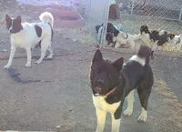 processed/2d5eee58-8a3f-46b3-8628-d704815a45ce/facility/2bd2a8b7-8d27-47ee-9f1b-2ea13d317a6b