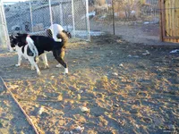 processed/2d5eee58-8a3f-46b3-8628-d704815a45ce/facility/8514e8fb-b5a6-489c-b457-6251def8941a