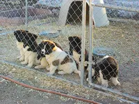 processed/2d5eee58-8a3f-46b3-8628-d704815a45ce/facility/adafd587-b3ca-4b5f-ab1b-682b1a124531