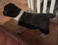 processed/2d5eee58-8a3f-46b3-8628-d704815a45ce/listing/31b3b902-e63e-4cac-af06-9177d32b41ff/4f6d4c32-371c-4a0f-9df1-63b324d51c37