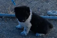 processed/2d5eee58-8a3f-46b3-8628-d704815a45ce/listing/31b3b902-e63e-4cac-af06-9177d32b41ff/8238f744-040f-4c02-9da4-9164033739bc