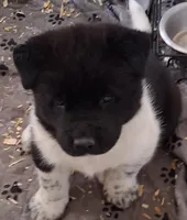 processed/2d5eee58-8a3f-46b3-8628-d704815a45ce/listing/31b3b902-e63e-4cac-af06-9177d32b41ff/9b93540b-c921-4857-b505-418e097f284f