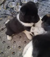 processed/2d5eee58-8a3f-46b3-8628-d704815a45ce/listing/31b3b902-e63e-4cac-af06-9177d32b41ff/a243e7d6-d517-4609-aba3-d3d7d4282dc2