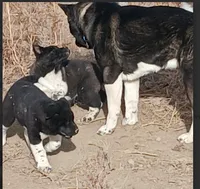 processed/2d5eee58-8a3f-46b3-8628-d704815a45ce/listing/31b3b902-e63e-4cac-af06-9177d32b41ff/c7daf8cc-38f9-4ad8-8967-2b246f7a6413