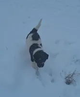 processed/2d5eee58-8a3f-46b3-8628-d704815a45ce/listing/f0b4fa48-7d8f-4905-be96-b5fca1b964c8/145cdc53-80bc-4733-94a9-eee5b25b29a1