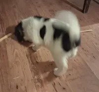 processed/2d5eee58-8a3f-46b3-8628-d704815a45ce/listing/f0b4fa48-7d8f-4905-be96-b5fca1b964c8/1d0390aa-fc77-46bc-b4b9-1e8ad767f53b