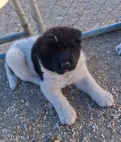 processed/2d5eee58-8a3f-46b3-8628-d704815a45ce/listing/f0b4fa48-7d8f-4905-be96-b5fca1b964c8/6d85d973-88ff-41d6-836b-0ee76bf73df6