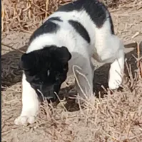 processed/2d5eee58-8a3f-46b3-8628-d704815a45ce/listing/f0b4fa48-7d8f-4905-be96-b5fca1b964c8/86bc5da3-35c8-46a3-9b1d-dbd651d4f032