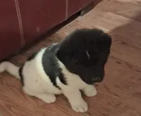 processed/2d5eee58-8a3f-46b3-8628-d704815a45ce/listing/f0b4fa48-7d8f-4905-be96-b5fca1b964c8/c79249dc-076b-49d5-bfb1-f22137fbafb1