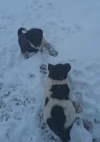 processed/2d5eee58-8a3f-46b3-8628-d704815a45ce/listing/f0b4fa48-7d8f-4905-be96-b5fca1b964c8/cbeb6b8b-87ec-4452-a9b6-5c769e82e78b