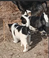 processed/2d5eee58-8a3f-46b3-8628-d704815a45ce/listing/f0b4fa48-7d8f-4905-be96-b5fca1b964c8/d82d05b8-fcff-4bad-a416-d6a75057210c