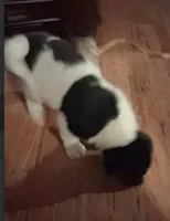 processed/2d5eee58-8a3f-46b3-8628-d704815a45ce/listing/f0b4fa48-7d8f-4905-be96-b5fca1b964c8/dc1149fe-59a4-470a-9def-5e530ad4832a