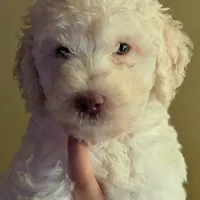 processed/2d5f6f43-9c28-474d-9d2c-5b547799a4b8/facility/220031d7-9294-47e6-b473-d71af3746c88