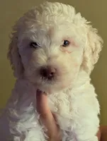 processed/2d5f6f43-9c28-474d-9d2c-5b547799a4b8/facility/220031d7-9294-47e6-b473-d71af3746c88