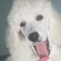 processed/2d5f6f43-9c28-474d-9d2c-5b547799a4b8/facility/33140c7f-5a7a-4fc3-977b-de62f8661713