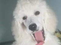 processed/2d5f6f43-9c28-474d-9d2c-5b547799a4b8/facility/33140c7f-5a7a-4fc3-977b-de62f8661713