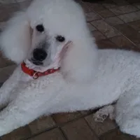 processed/2d5f6f43-9c28-474d-9d2c-5b547799a4b8/facility/41bbcdea-5ad8-4b37-8178-f7cda4d94eb5