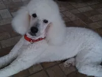 processed/2d5f6f43-9c28-474d-9d2c-5b547799a4b8/facility/41bbcdea-5ad8-4b37-8178-f7cda4d94eb5