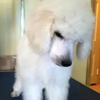 processed/2d5f6f43-9c28-474d-9d2c-5b547799a4b8/facility/46e10f59-490f-4a19-868a-74985a49bb01