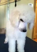 processed/2d5f6f43-9c28-474d-9d2c-5b547799a4b8/facility/46e10f59-490f-4a19-868a-74985a49bb01