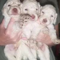 processed/2d5f6f43-9c28-474d-9d2c-5b547799a4b8/facility/612eb487-770e-4b2c-b43f-f847fb35b954